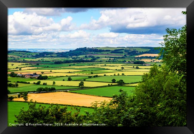 North Yorkshire countryside landscape Framed Print by Rosaline Napier