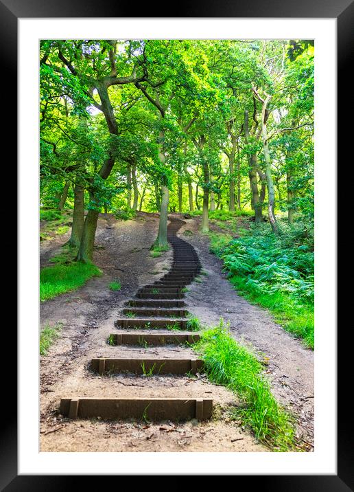Steps into the woods Framed Mounted Print by Rosaline Napier