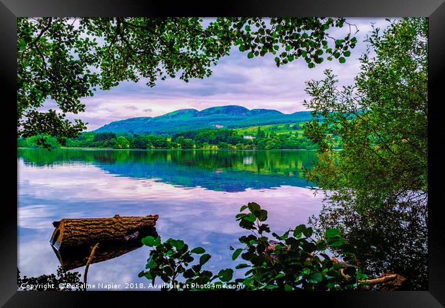 Lake of Menteith Framed Print by Rosaline Napier
