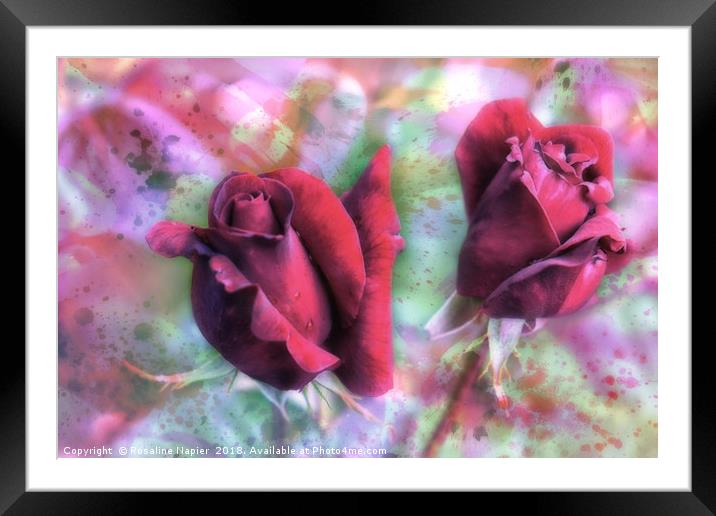 Two red roses with abstract background Framed Mounted Print by Rosaline Napier