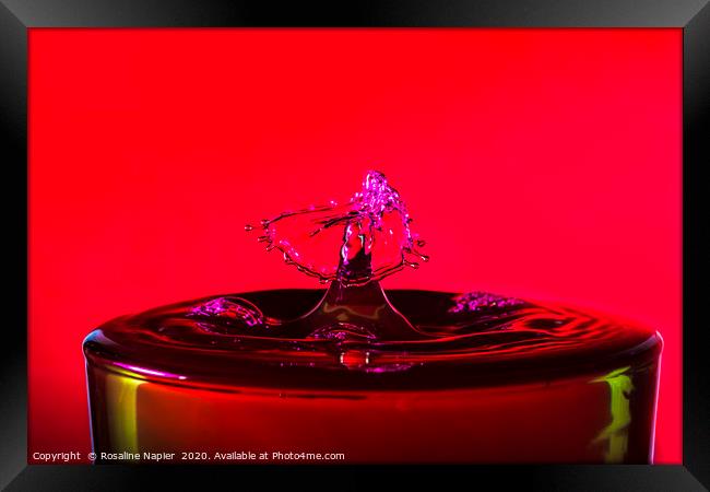 Water drop red background Framed Print by Rosaline Napier