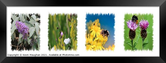 Buzzing Garden Oasis Framed Print by Kevin Maughan
