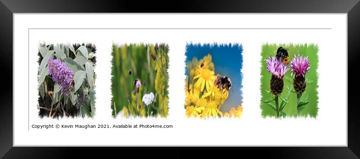 Buzzing Garden Oasis Framed Mounted Print by Kevin Maughan