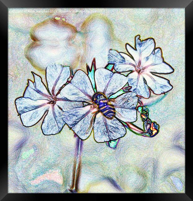 Garden Phlox Flower (Digital Art) Framed Print by Kevin Maughan