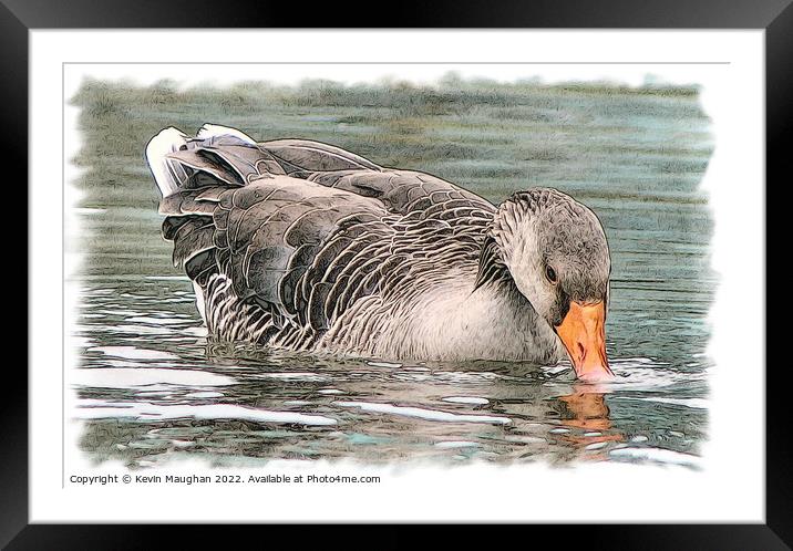 Duck On The Water 2 (Digital Art Sketch) Framed Mounted Print by Kevin Maughan