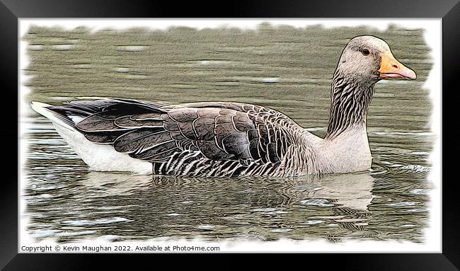 Duck On The Water 3 (Digital Art Sketch) Framed Print by Kevin Maughan