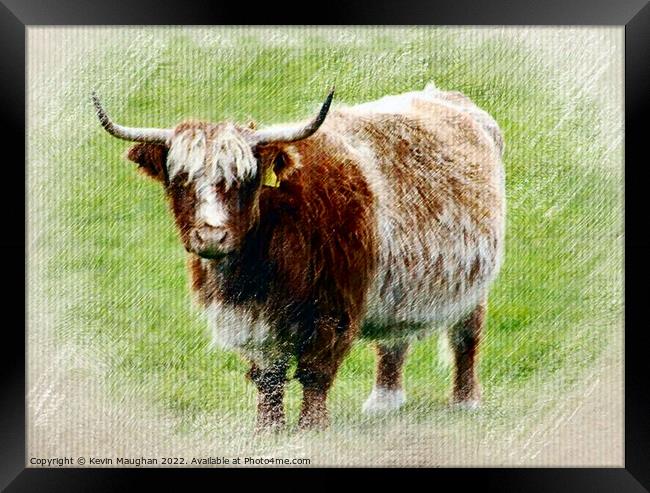 Highland Cow (Pastel Digital Art) Framed Print by Kevin Maughan
