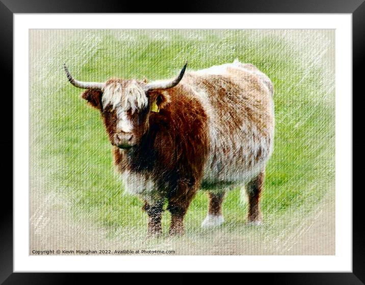 Highland Cow (Pastel Digital Art) Framed Mounted Print by Kevin Maughan