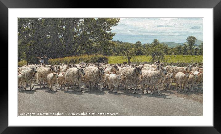 Sheep Round Up Time                       Framed Mounted Print by Kevin Maughan