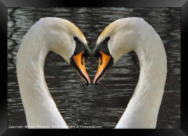 Love in Reflection Framed Print by Kevin Maughan
