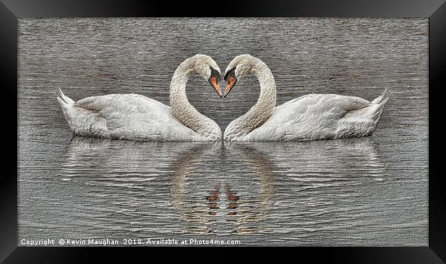 Swans Heart To Heart Sketch Style Drawing Framed Print by Kevin Maughan