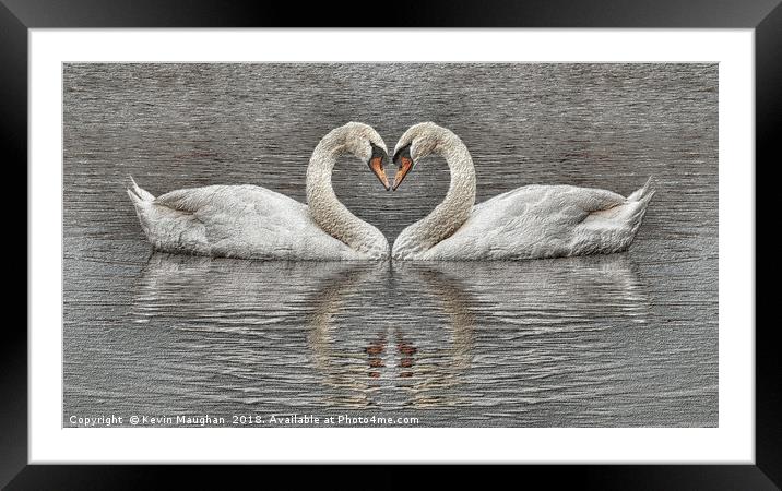 Swans Heart To Heart Sketch Style Drawing Framed Mounted Print by Kevin Maughan