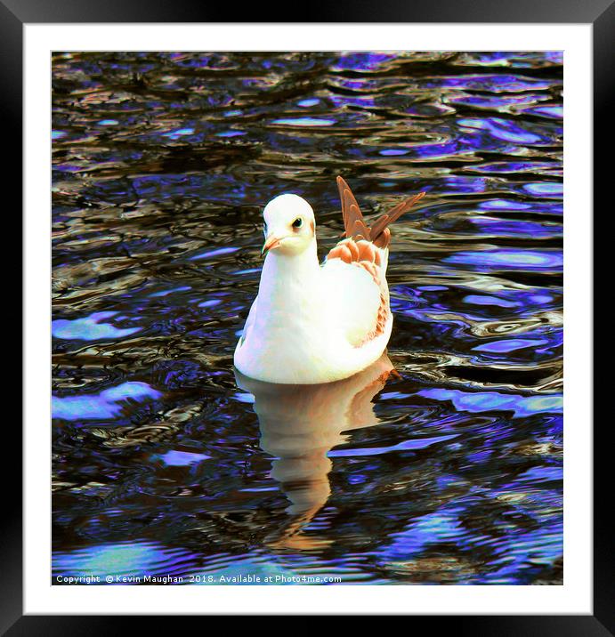 Bird On The River Wansbeck At Morpeth  Framed Mounted Print by Kevin Maughan