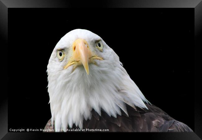 Is This Pose OK Framed Print by Kevin Maughan