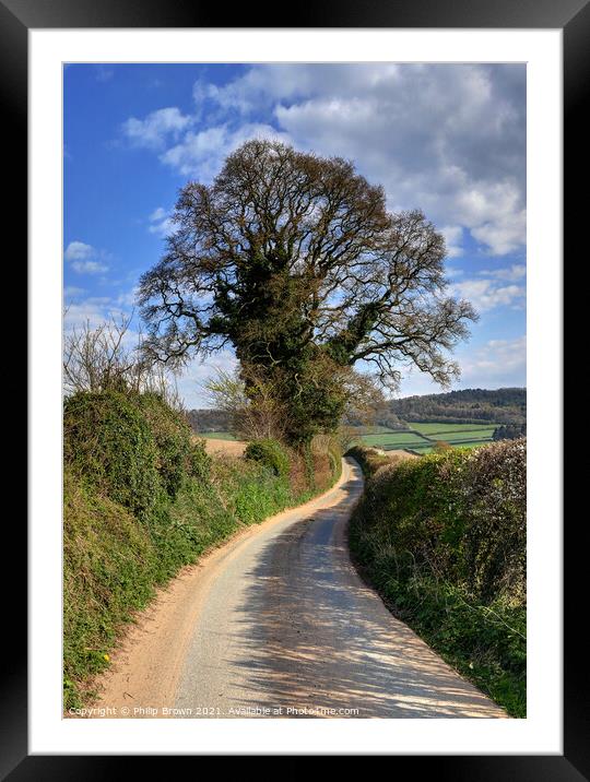 English country lane with large Tree in Wig Wig Shropshire Framed Mounted Print by Philip Brown