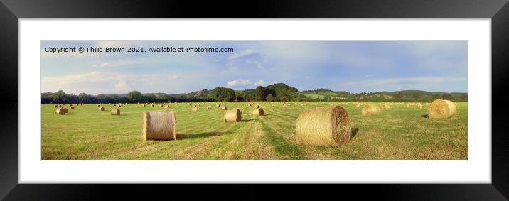 Bails of Hay in a field on a summers day, UK - Panorama Framed Mounted Print by Philip Brown