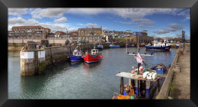 Fishing Boats at Seahouses Harbour - Panorama Framed Print by Philip Brown