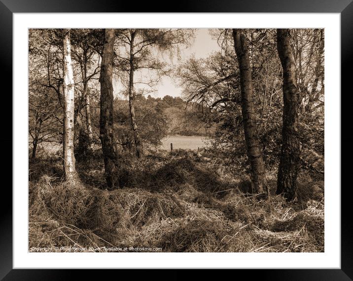 The Shapes of Nature - Sepia Version Framed Mounted Print by Philip Brown