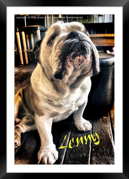 Lenny the Bulldog sitting in a Pub, Colour Version Framed Mounted Print by Philip Brown