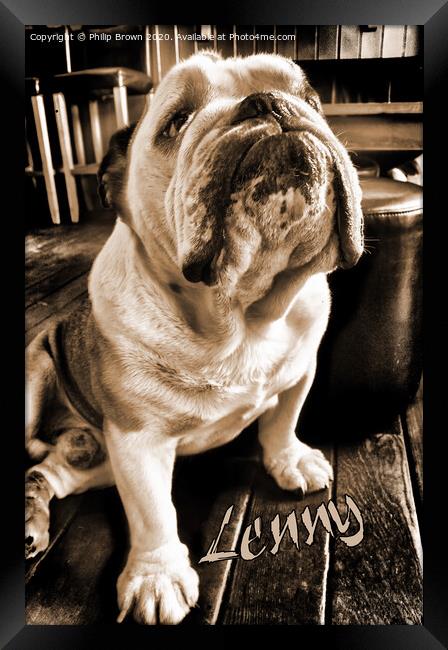 Lenny the Bulldog sitting in a Pub, Sepia Version Framed Print by Philip Brown