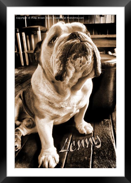 Lenny the Bulldog sitting in a Pub, Sepia Version Framed Mounted Print by Philip Brown