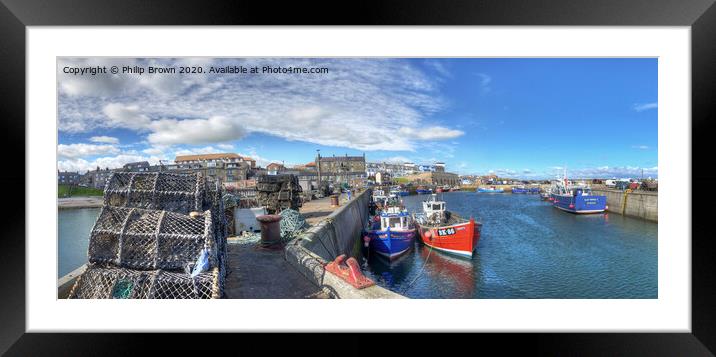 Fishing Boats at Seahouses Harbour - Panorama Framed Mounted Print by Philip Brown