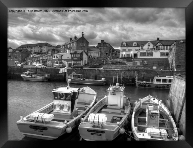Seahouses Harbour and Boats, Northumberland, B&W Framed Print by Philip Brown