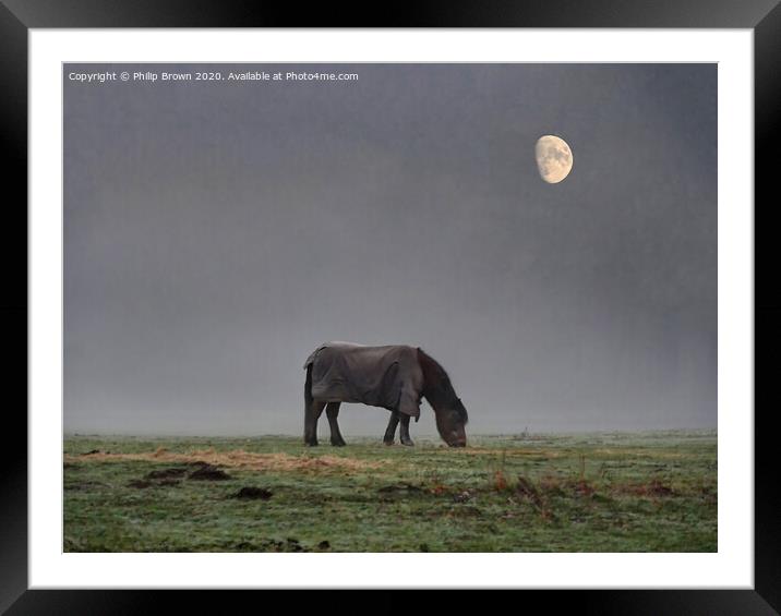 Horse in Misty Field with Moon Framed Mounted Print by Philip Brown