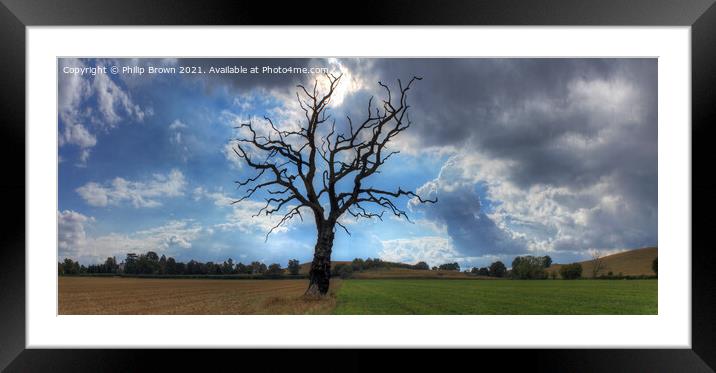 The Lonely Tree - Panorama 2 Framed Mounted Print by Philip Brown