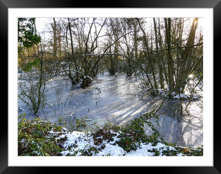 Woodland ice in Winters Snow No 2 Framed Mounted Print by Philip Brown