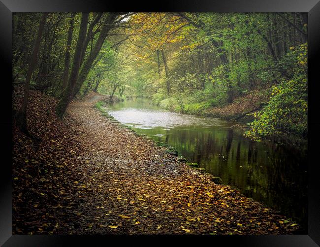 Eller Beck and Skipton Castle Woods Framed Print by David Brookens