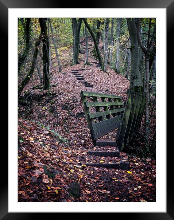 Autumn Stairway Framed Mounted Print by David Brookens