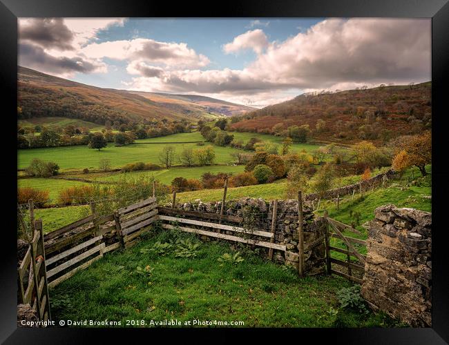 Langstrothdale Chase Framed Print by David Brookens