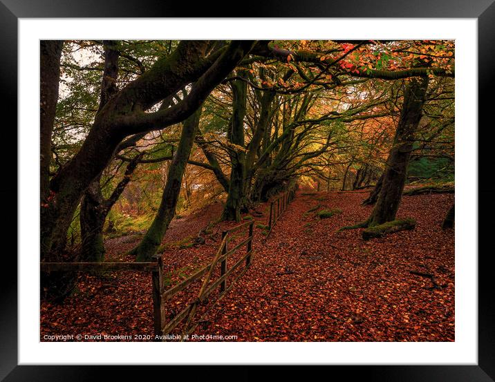 Autumn at Dyemill Framed Mounted Print by David Brookens
