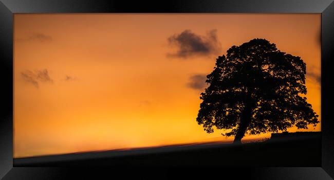 Sunset Tree Framed Print by Duncan Loraine