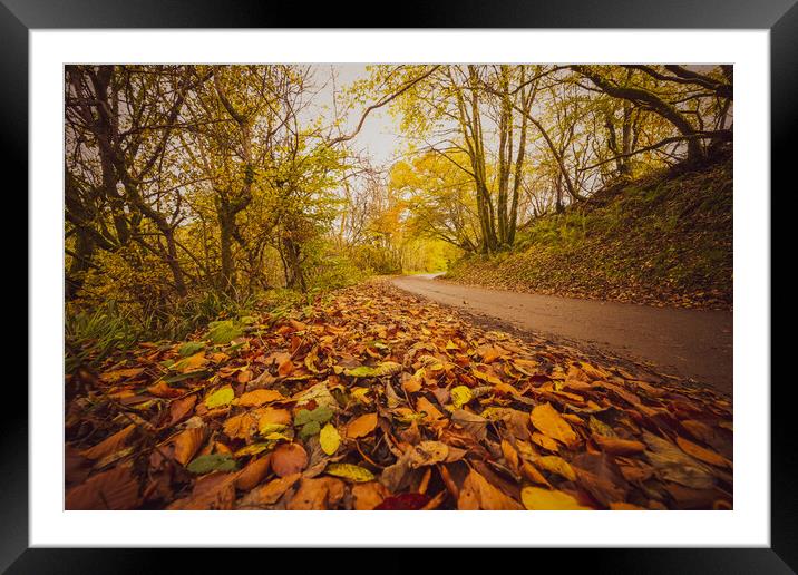 Sunlit Path of Autumn Framed Mounted Print by Duncan Loraine