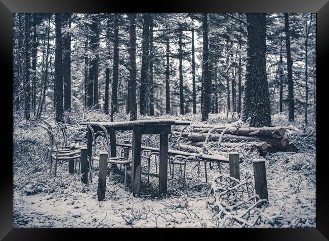 Abandoned Table in the Woods Framed Print by Duncan Loraine