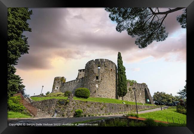The castle of Gorizia, Italy Framed Print by Sergio Delle Vedove