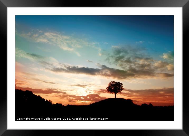 a tree on the little hill Framed Mounted Print by Sergio Delle Vedove