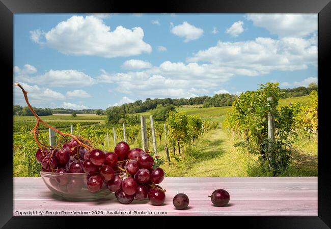 it's time to harvest  Framed Print by Sergio Delle Vedove