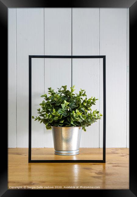 A blank black frame  and a flowerpot Framed Print by Sergio Delle Vedove