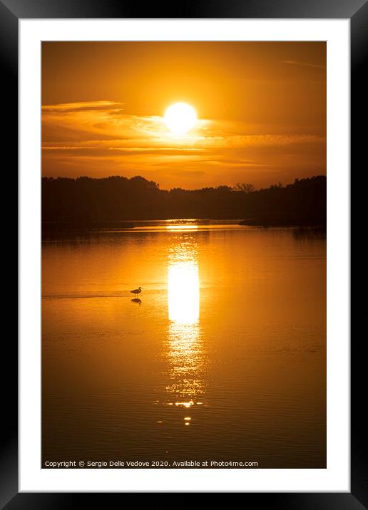 sunset on the lagoon Framed Mounted Print by Sergio Delle Vedove