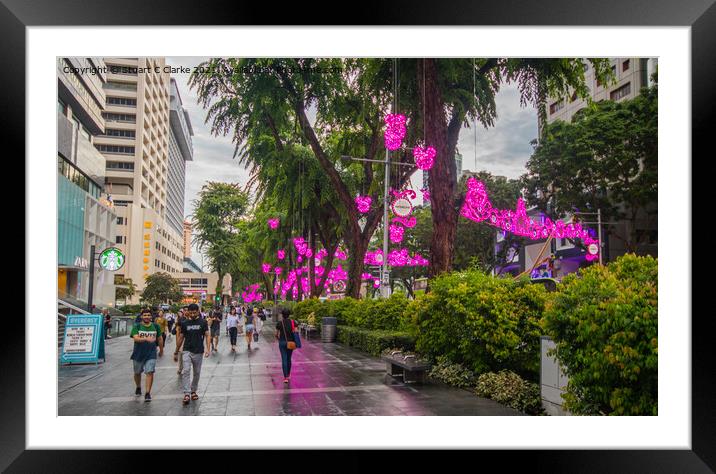 Orchard Road Framed Mounted Print by Stuart C Clarke