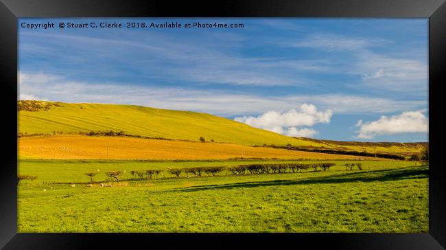 Dorset hills Framed Print by Stuart C Clarke