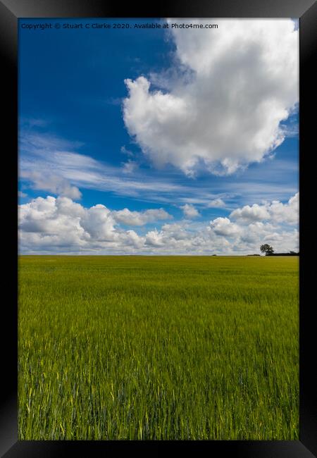 Summer crops Framed Print by Stuart C Clarke