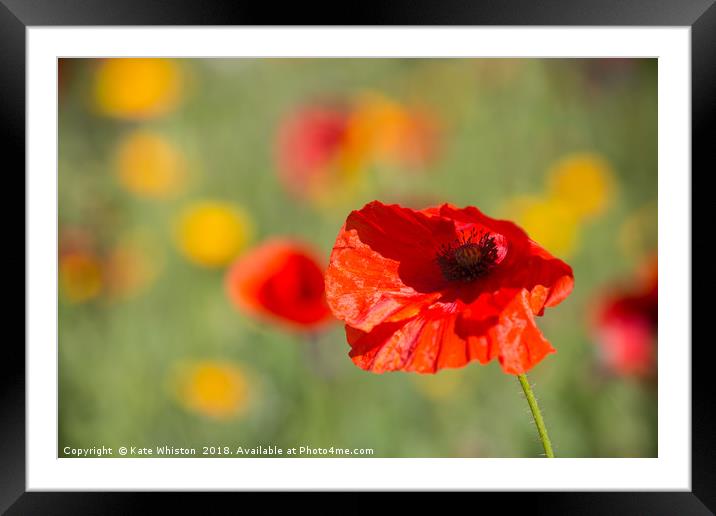 Stand Out From The Crowd Framed Mounted Print by Kate Whiston