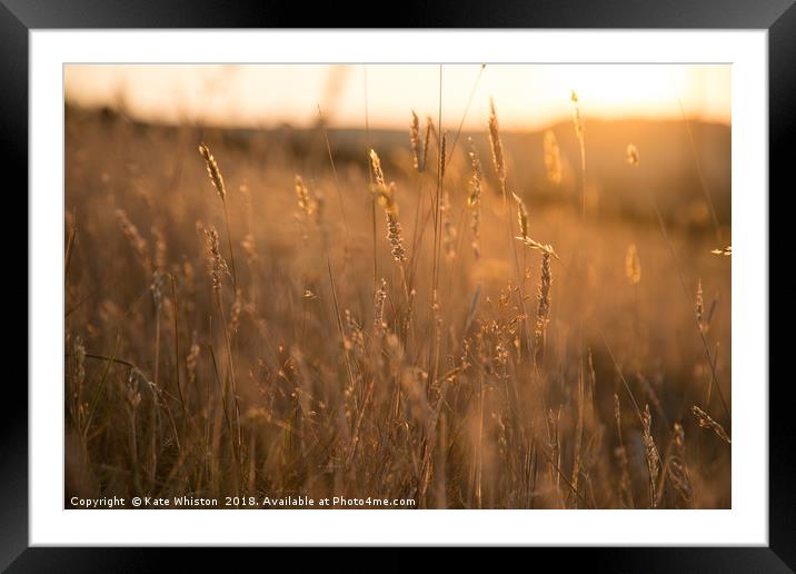 Golden Hour Meadow Framed Mounted Print by Kate Whiston