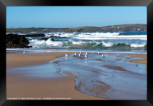 Seagulls waiting for the waves Framed Print by Kate Whiston