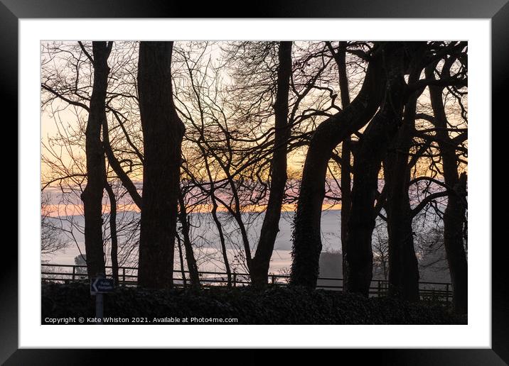 Sunrise through the trees Framed Mounted Print by Kate Whiston