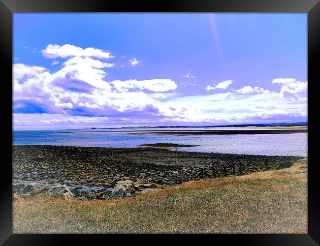 Holy island  Framed Print by Rachael Smith